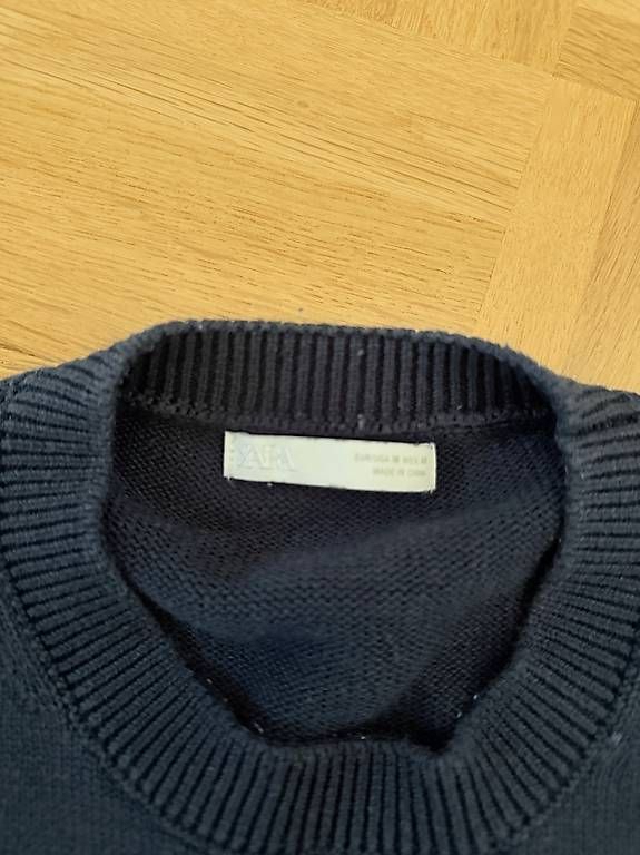 Zara Maglioni & Felpe: Zara Pullover – Usato da Basel venduto da alu_l9s8 1