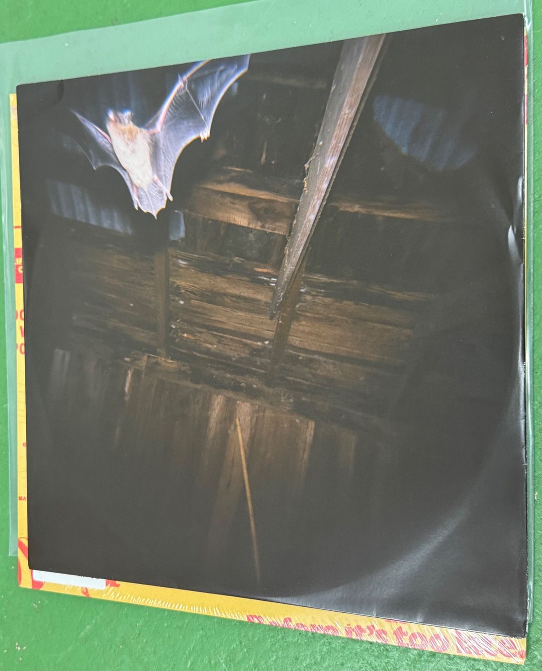 Dischi in vinile: Thee Oh Sees / Total Control:  Thee Oh Sees / Total Control – Usato da Basel venduto da Ostschweiz06 2