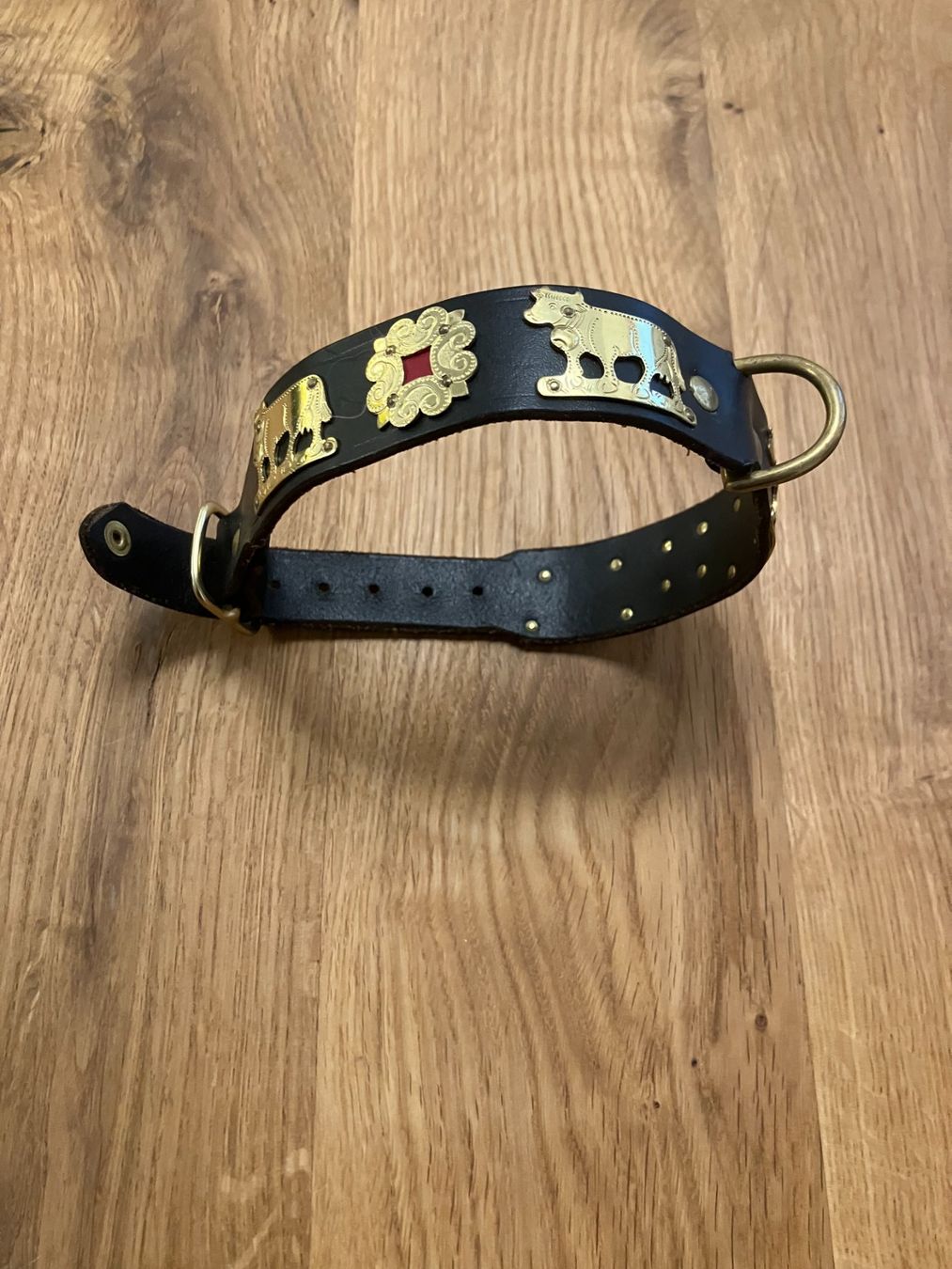Dekobänder: Hundehalsband Appenzeller – Neu (gemäss Beschreibung) aus Domat/Ems von edmund61
