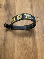 Hundehalsband Appenzeller