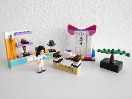 Lego 41002 Emma’s Karate Class