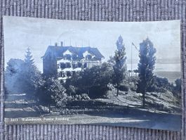 AK von Walzenhausen Pension Rosenberg