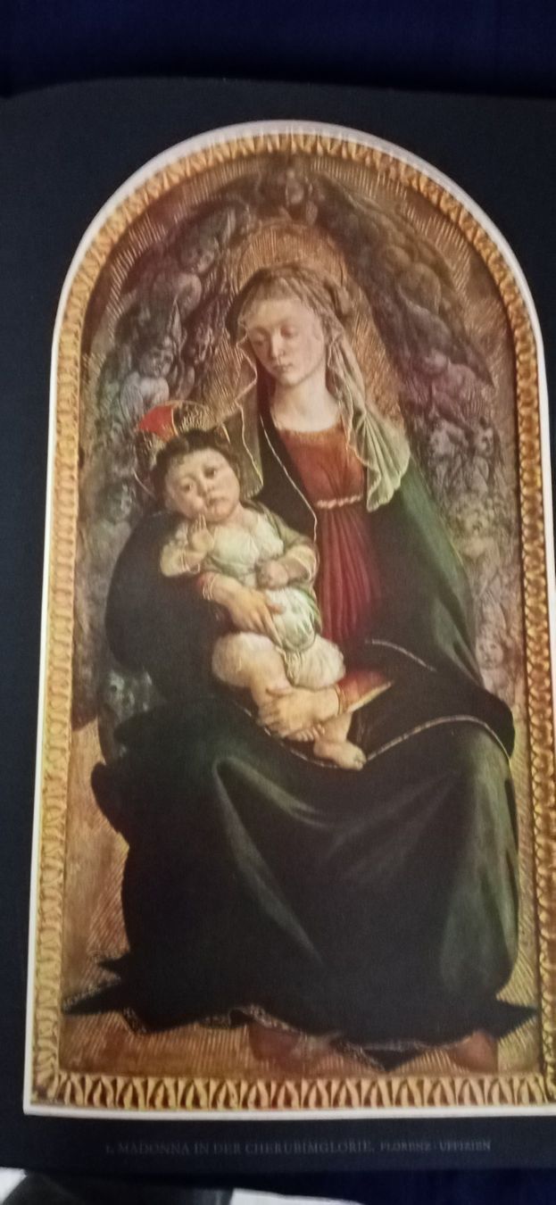Libri: Botticelli , Bildband – Nuovo (secondo la descrizione) da Büsingen venduto da Flohminator 4