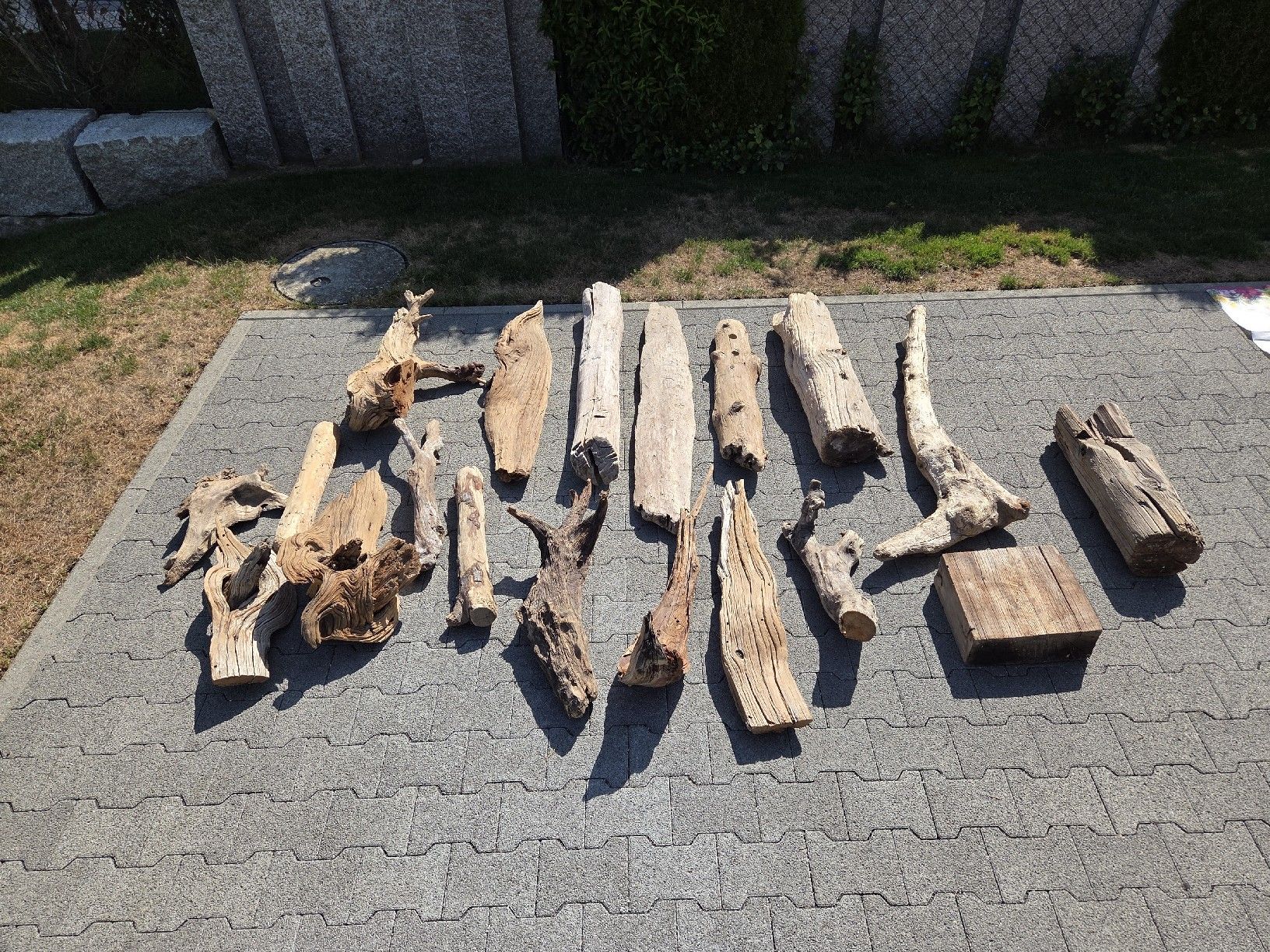 Articoli in legno: Schwemmholz – Usato da Beinwil am See venduto da stoeffi83