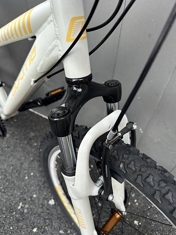 Biciclette: Bicicletta MTB California da ragazza 24  – Usato da Quartino venduto da DiloUsato 6
