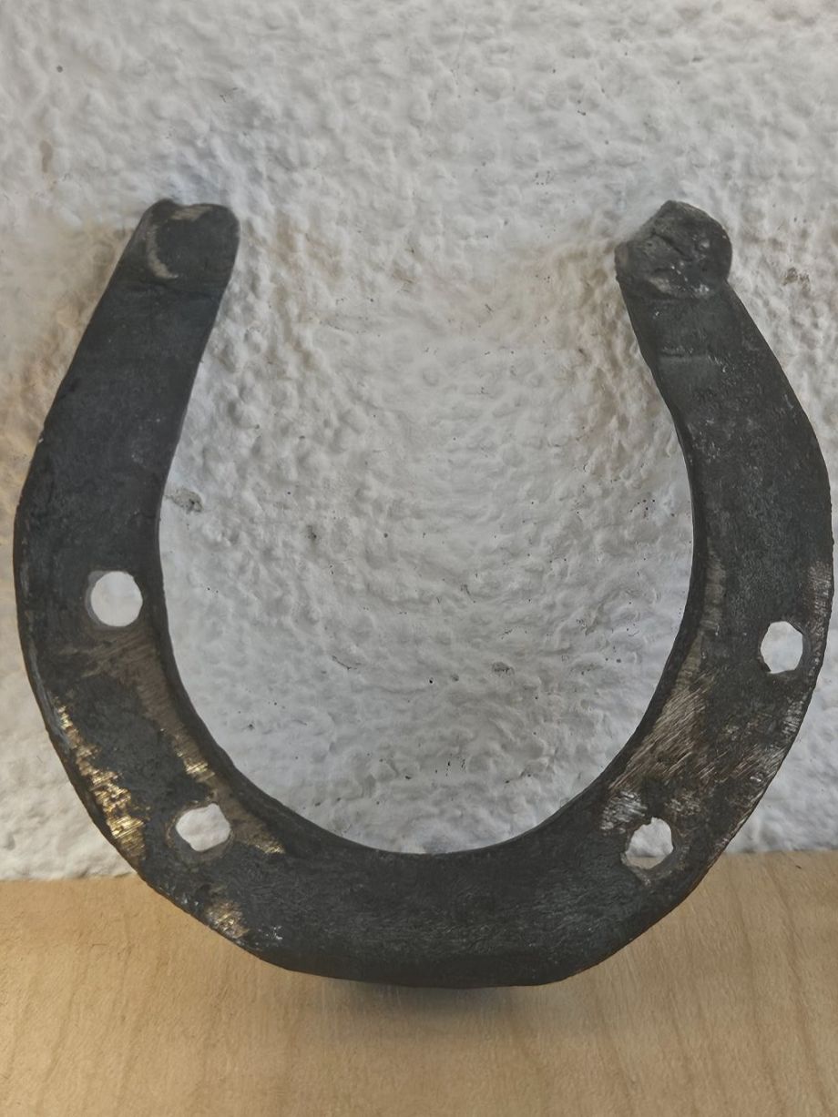 Altro in Accessori per animali: Hufeisen, Glücksbringer – Usato da Jona venduto da ASMARADO