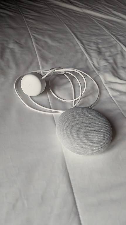 Haut-parleurs: Google Nest Mini – D'occasion à Winterthur par tpetaja