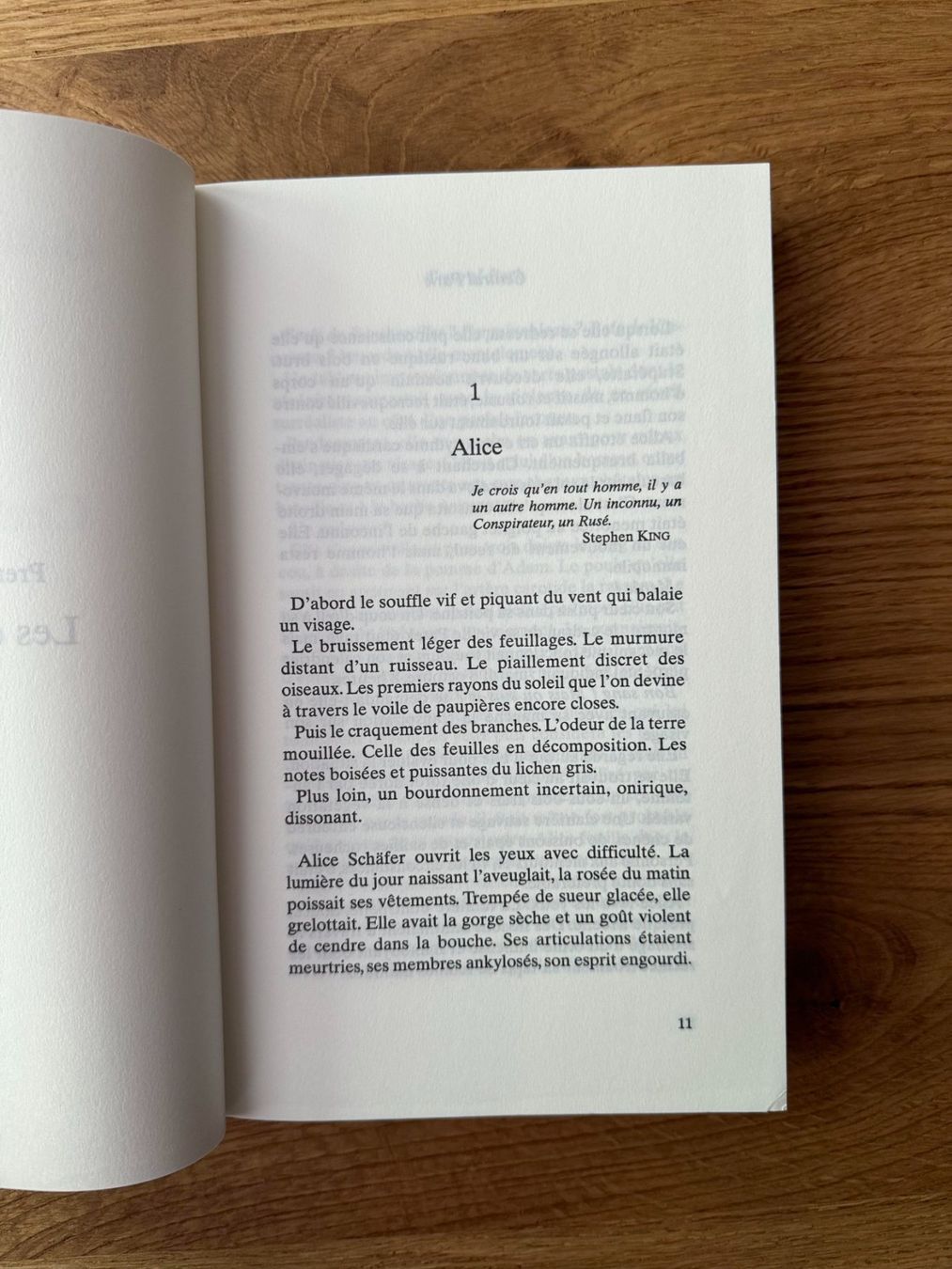 Libri: " Central Park " de Musso - Roman – Nuovo (secondo la descrizione) da Genève venduto da Reveur 2