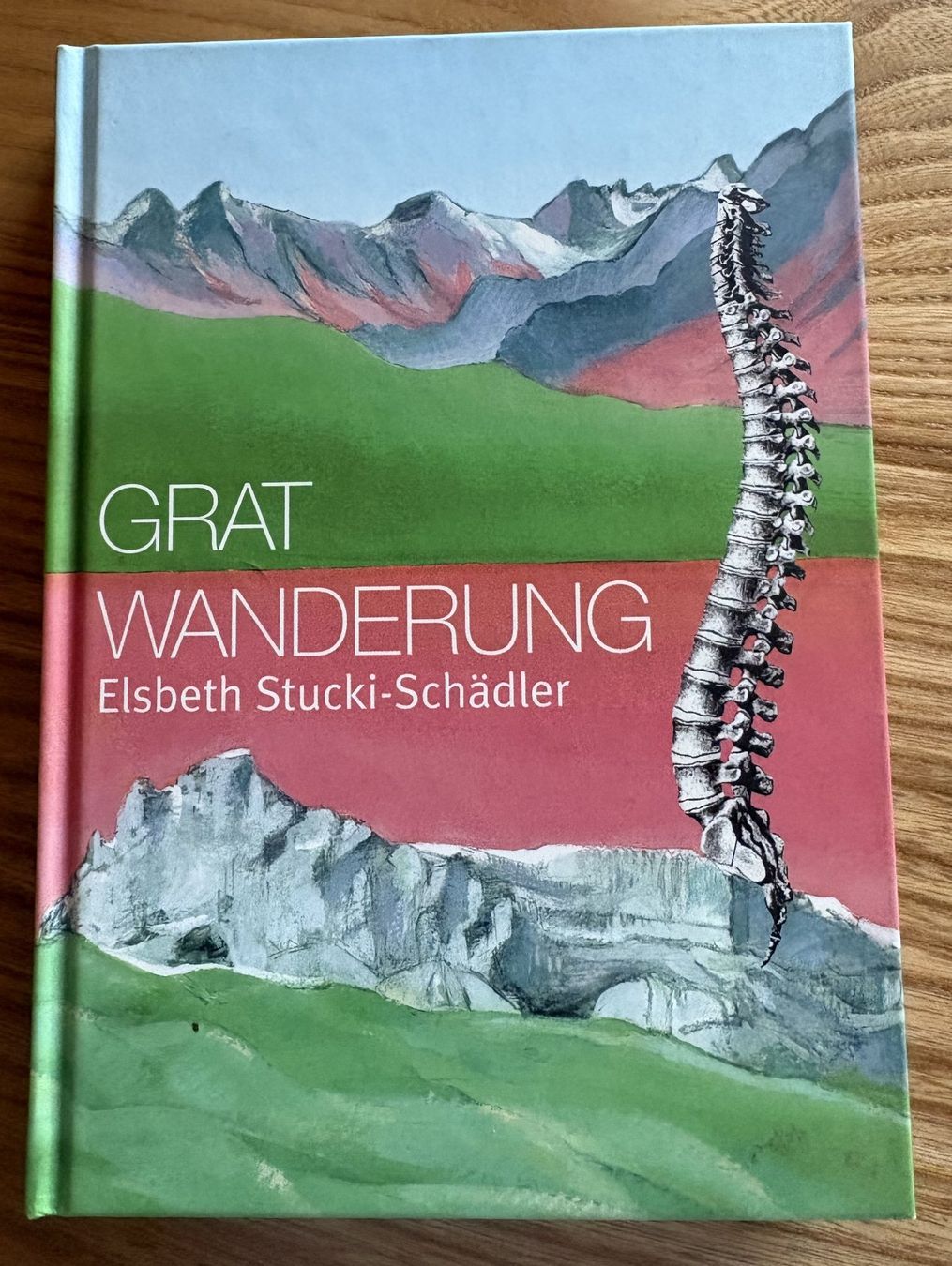 Libri: Gratwanderung Elsbeth Stucki-Schädler – Usato da Neukirch-Egnach venduto da Phion