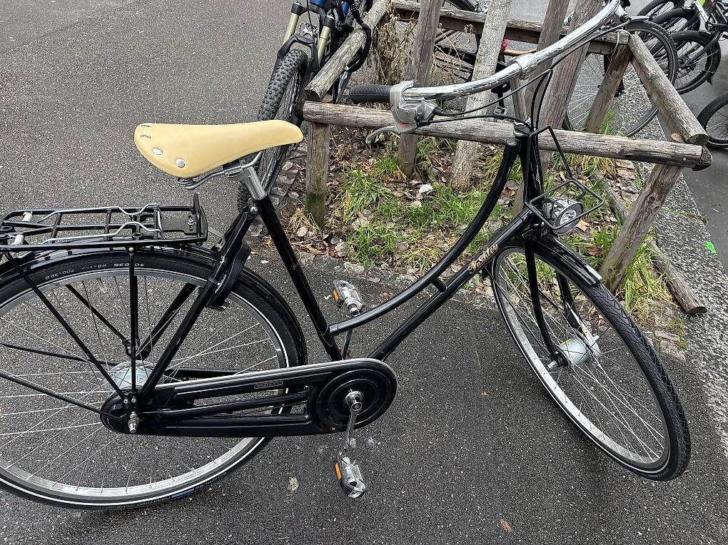 Biciclette: Pashley Velo – Usato da Zürich venduto da Csnoopi