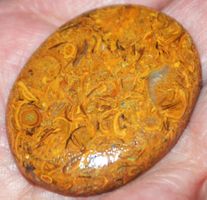 Cabochon L-6016 – Maryam Jaspis 39x31mm 66.20 Karat