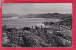 AUSSICHT VON DER TERRASSE HOTEL HALBINSEL AU, 22.8.1947