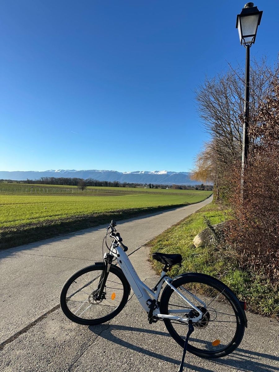 Biciclette: Vélo électrique comme neuf  – Nuovo (secondo la descrizione) da Chernex venduto da sif_6s8x 6