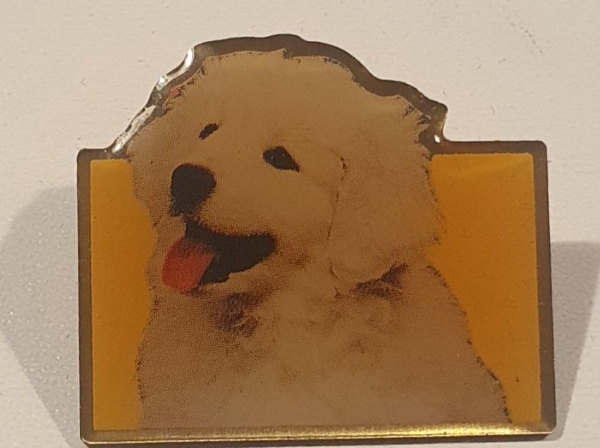 Placchette & Badge: Pin's Chien PAL pedigree – Usato da St-Barthélemy VD venduto da titeuf5