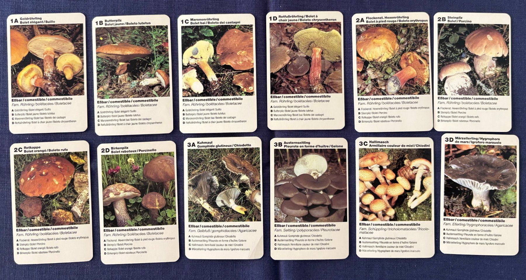 Spiele: QUARTETT PILZE – Gebraucht aus Ostermundigen von wini63 1