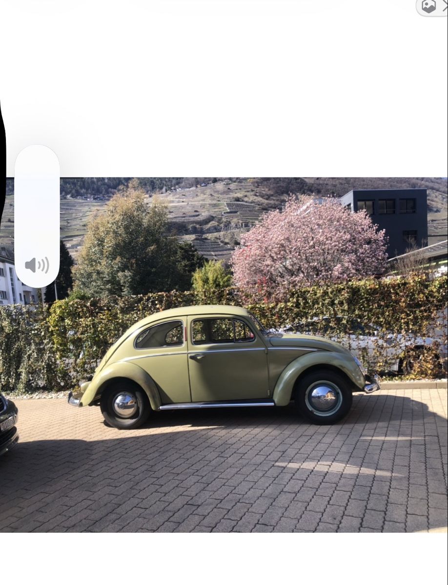 VW Automobili: Vw coccinelle – Usato da Martigny venduto da Soniacastro 2