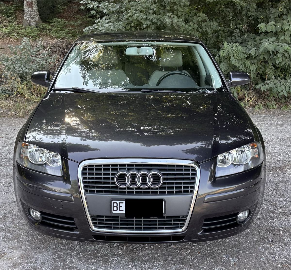 Audi Automobili: Audi A3 2.O TDI – Usato da Urtenen-Schönbühl venduto da B_Poseidon 4