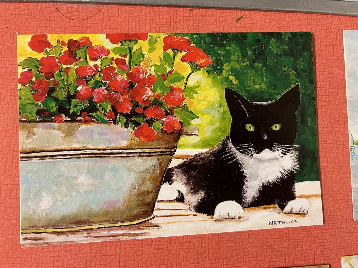 Karten: 19 Postkarten, Blumen, Katze, Ostergrusskarten – Gebraucht aus Lanzenhäusern von vic63 4