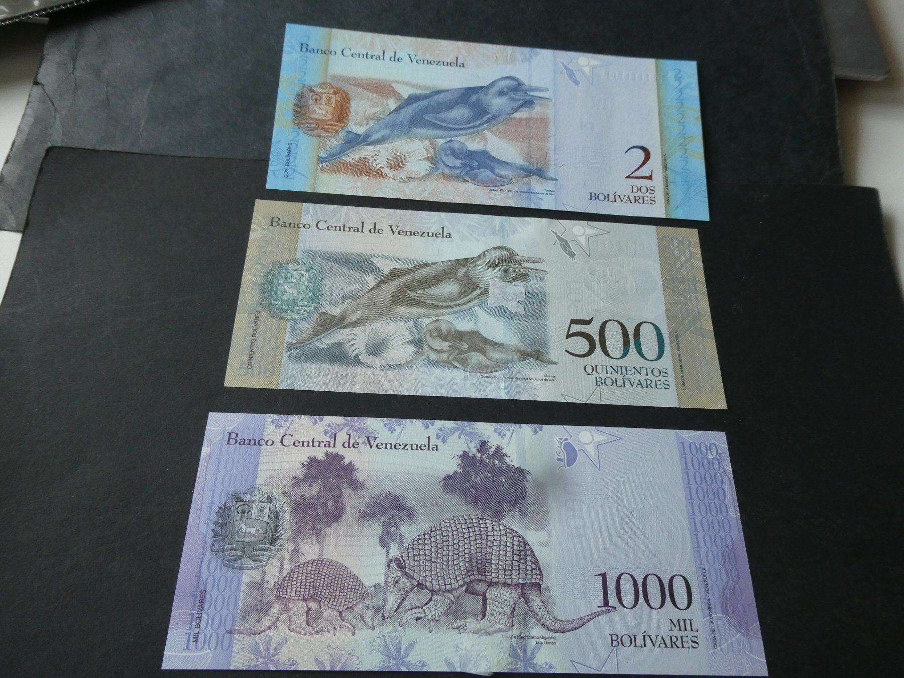 Banknoten: Venezuela,  alte Geldscheine – Gebraucht aus Hinterforst von Rohusri 1