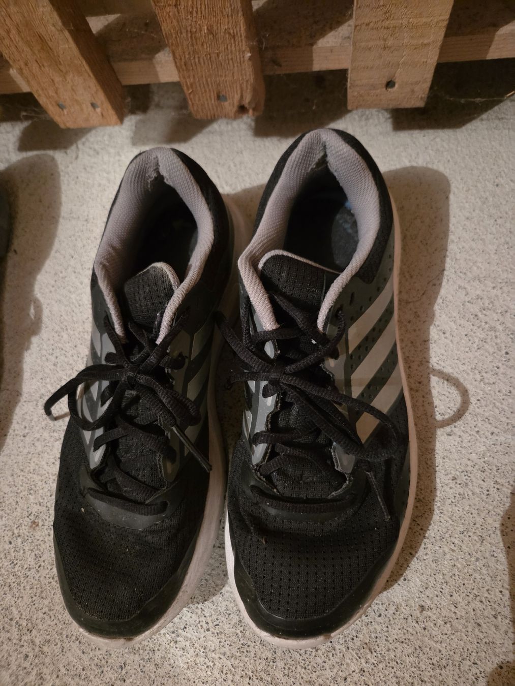 Scarpe da uomo: Adidas Laufschuhe Schwarz Gr. 41 – Usato da Rümlang venduto da debym