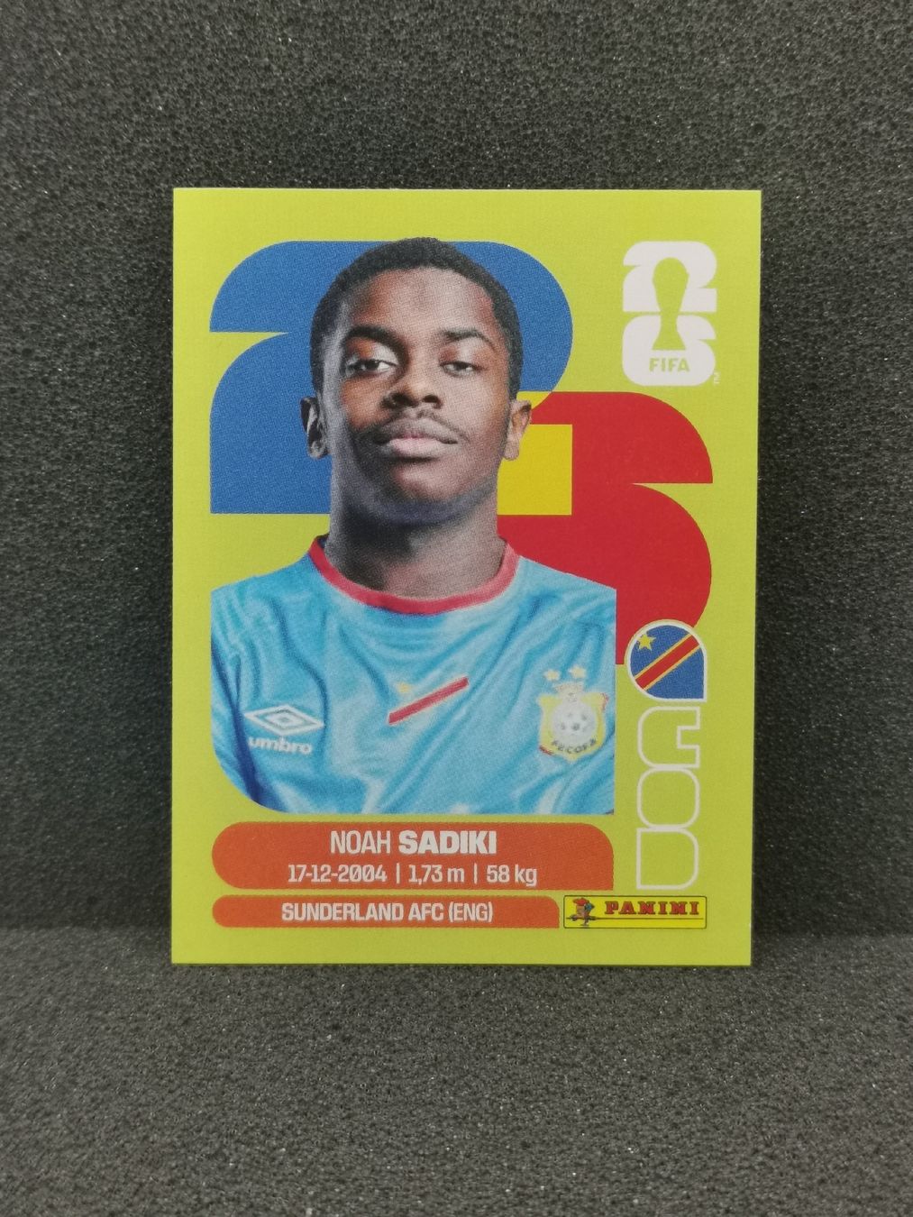 Panini Carte collezionabili: Panini Wm 2026 Sticker :Noah Sadiki Cod 12 – Usato da Einsiedeln venduto da sza_588x