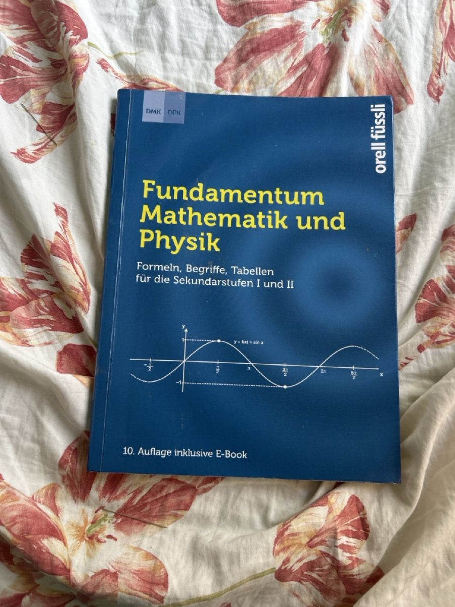 Libri: Fundament um Mathematik und Physik – Usato da Mönchaltorf venduto da ani_hz7j