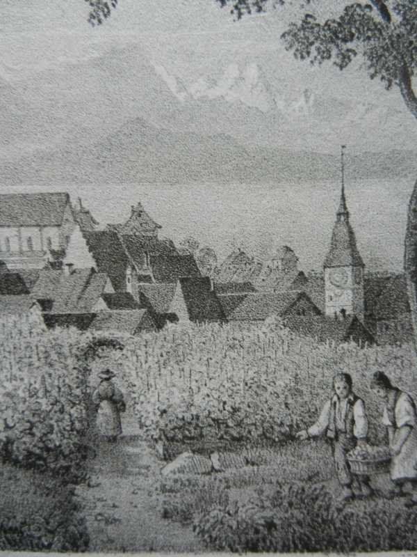 Incisioni: Zug selten – Usato da Risch venduto da Rischli15 5