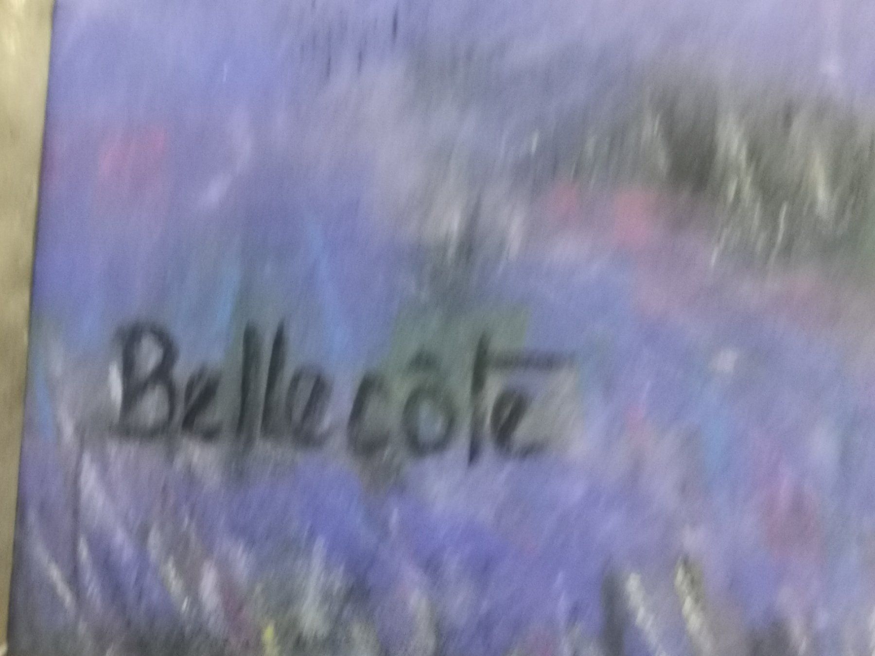 Gemälde: BELLECÔTE – Gebraucht aus Genève von Qanil77 2