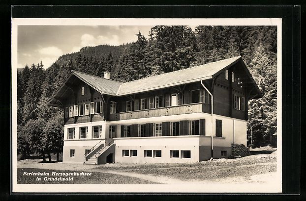 Cartoline postali: Grindelwald, Ferienheim Herzogenbuchsee – Usato da Berlin venduto da bartko-reher