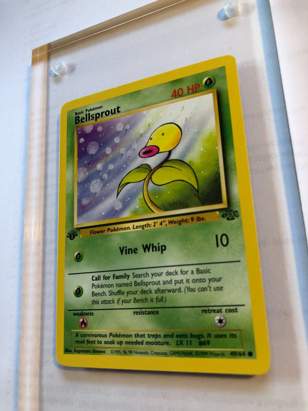 Cartes à collectionner: Bellsprout 1st Jungle - NM - ab 1.- – D'occasion à Giubiasco par dan_pr8b 2