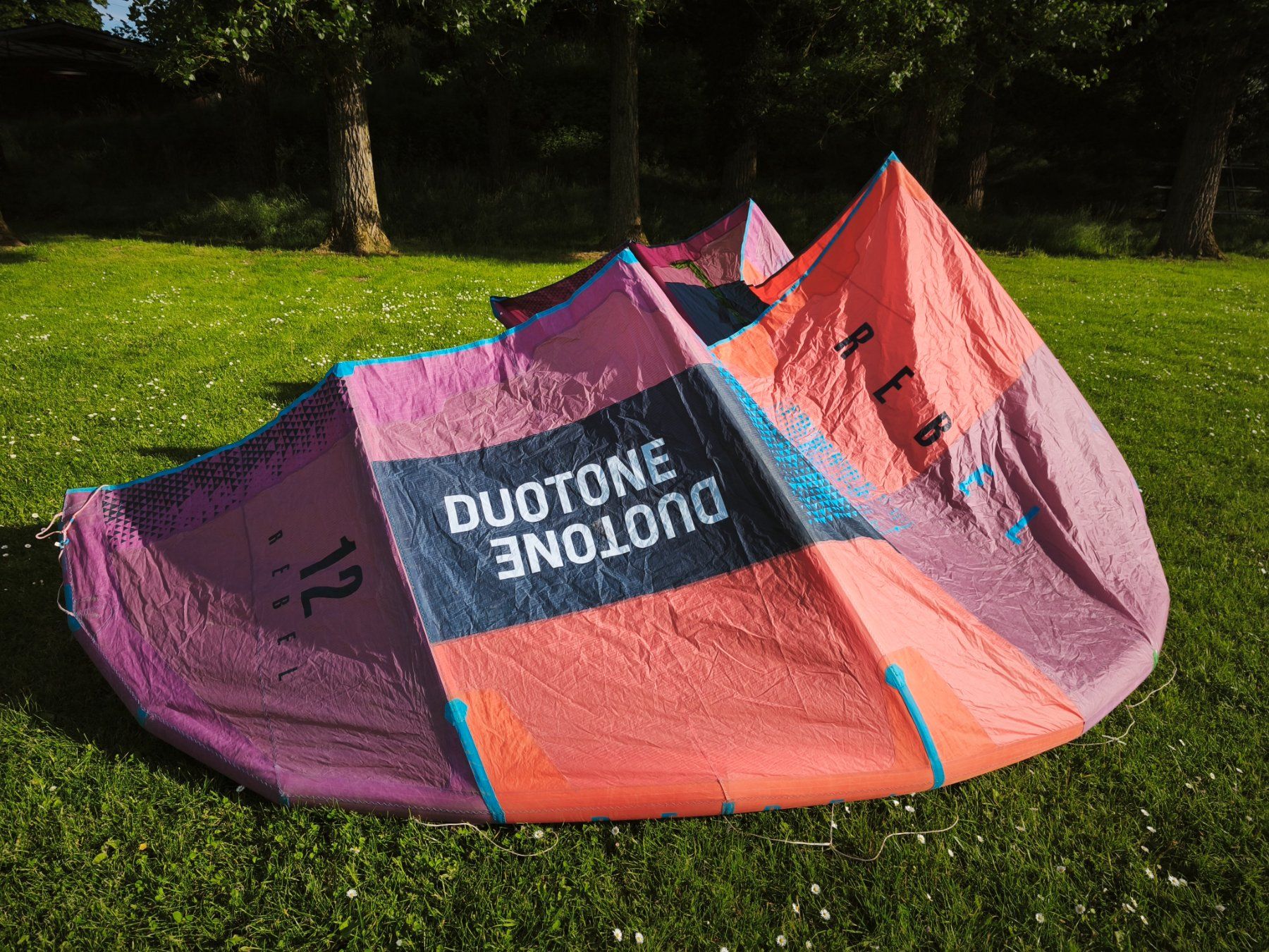 Duotone Aquilone: Kite Duotone Rebel 12m2 – Usato da Pensier venduto da _la 2