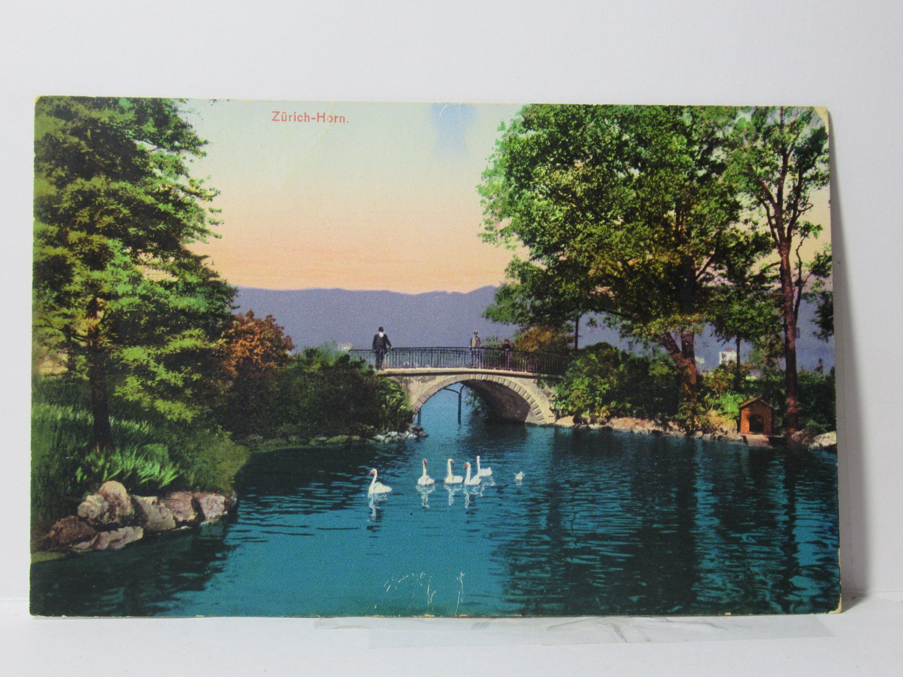 Cartoline postali: Zürich - Horn , Schwàne  1915 – Usato da Grenchen venduto da Bluemchen1900