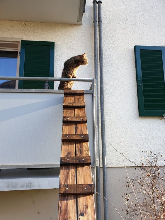 Katzenleiter 7m Geflammt & Geölt - Praktische Katzentreppe Für Balkon Ohne Befestigung