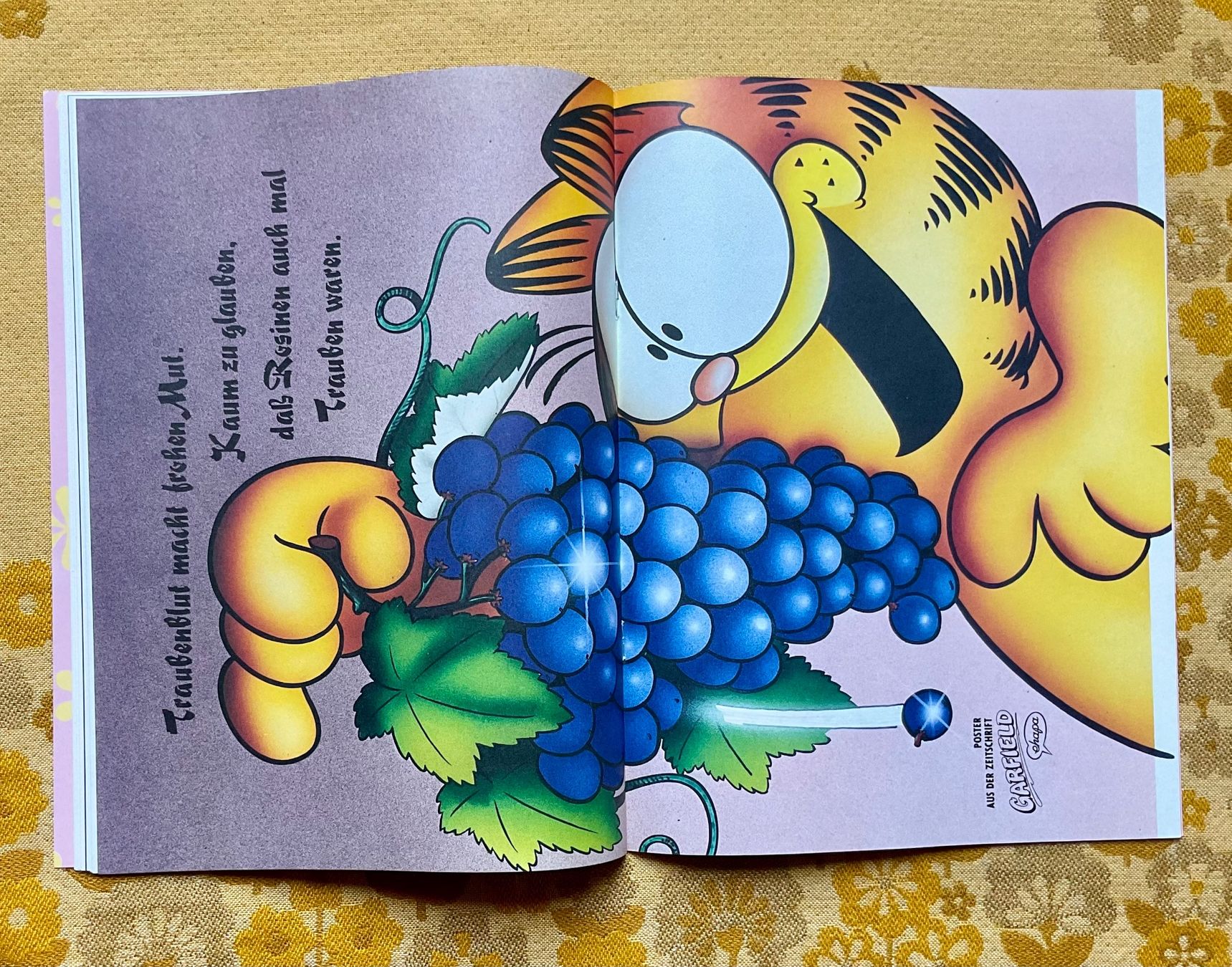 Fumetti: Garfield Heft Nr 8 von 1992 – Usato da Endingen venduto da nathan05 5