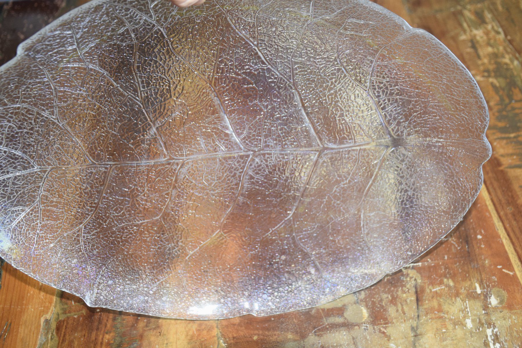 Piatti di portata: Glas " Blatt " Servierplatte – Usato da Wetzikon ZH venduto da Wetzicardo25