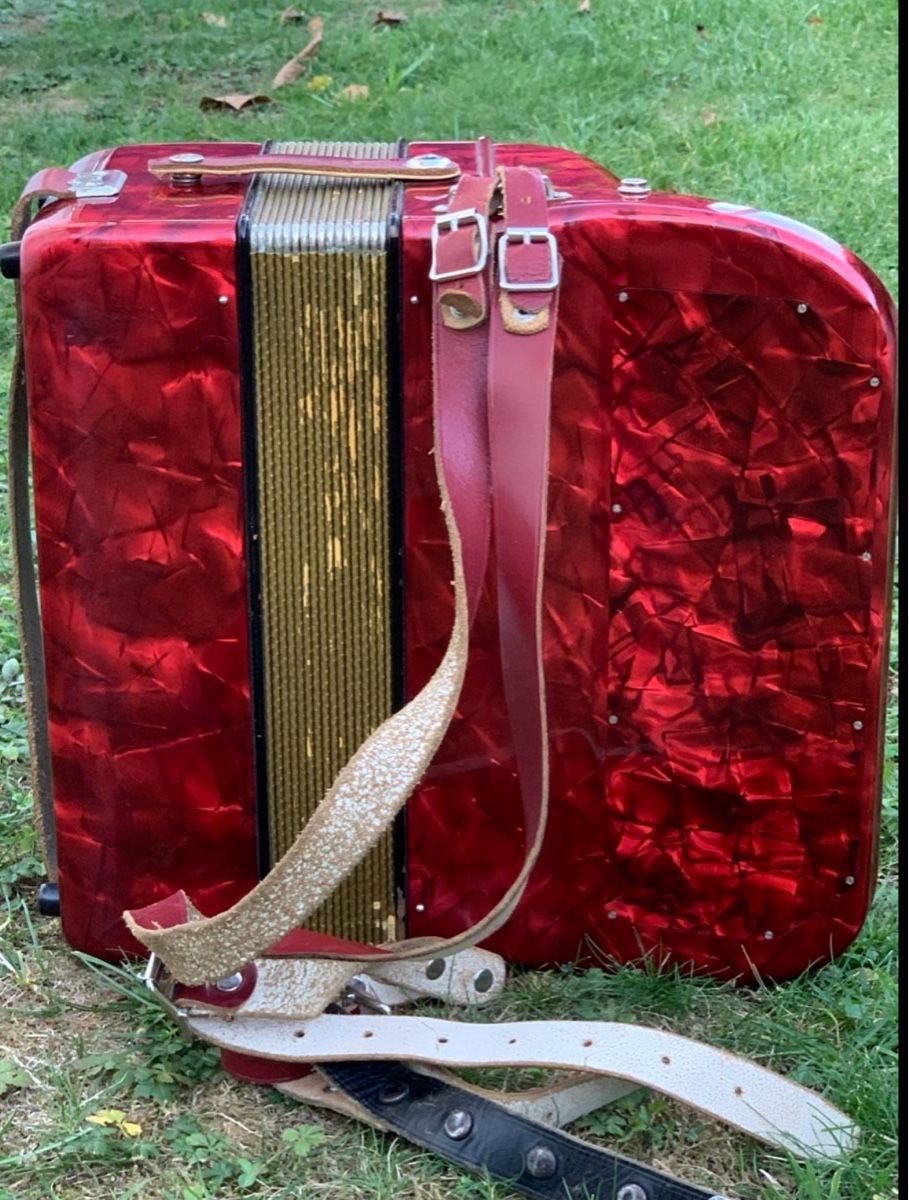 Hohner Strumenti musicali: Akkordeon HOHNER „Piccolo“ – Usato da Wangen b. Olten venduto da Finolino28 1