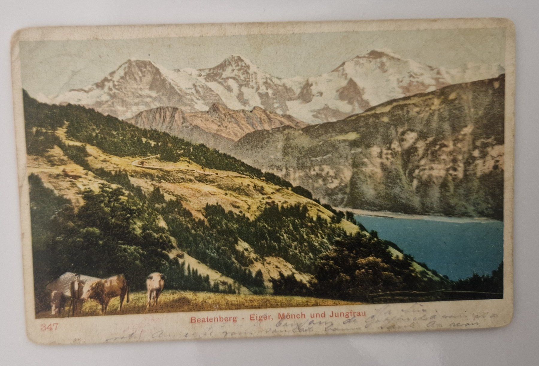 Cartoline postali: Beatenberg, Eiger, Mönch & Jungfrau 1904 – Usato da Melchnau venduto da Arthurius