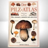 🍄Pilz-Atlas: Erkennen, Sammeln & Kochen 📖 Mondo Verlag TOP