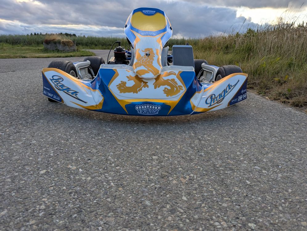 Karts: Praga Kart ohne Motor – D'occasion à Zauggenried par babuk 7