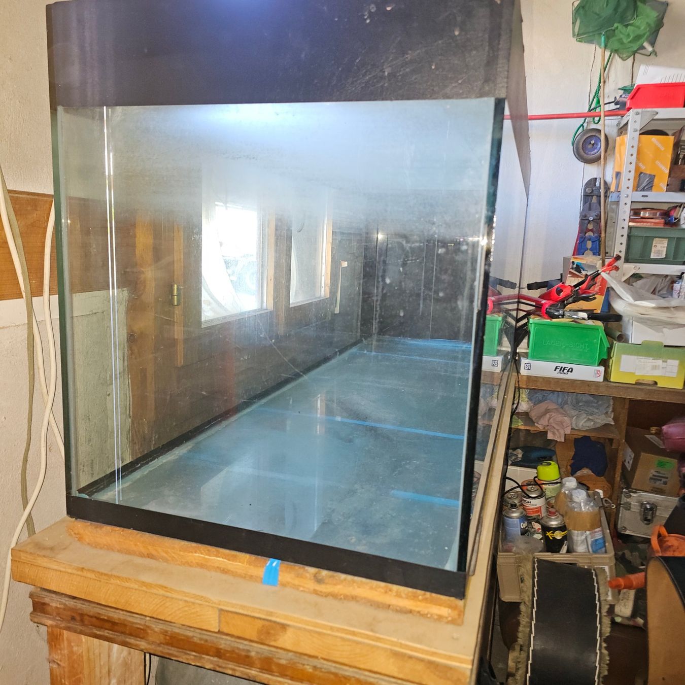 Acquari: Aquarium. !!!! Ab 1Fr !!!! – Usato da Büren an der Aare venduto da Flipperfinger88 2