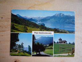 Rigi-Seebodenalp, 19.7.71