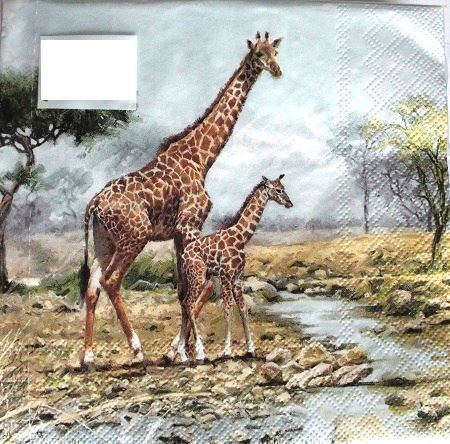 Tovaglioli: Serviette giraffes (1272) 2Stk. – Nuovo (secondo la descrizione) da Schlatt TG venduto da kreativ-atelier