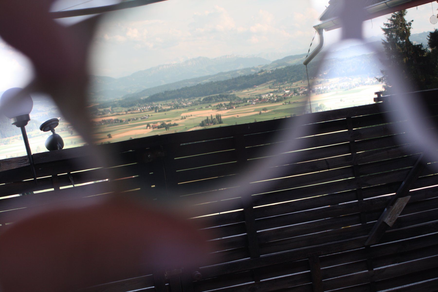 Carrera Occhiali & Lenti: CARRERA SONNEBRILLE SPORTBRILLE – Usato da Wauwil venduto da Pneuedy 6