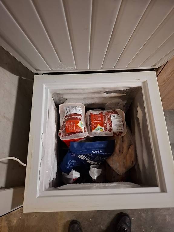 Congelatori: Gefriertruhe – Usato da Niederuzwil venduto da Liberatopixel 1