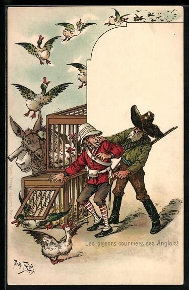 Ansichtskarten: A. Thiele: Les pigeons courriers des Ang – Gebraucht aus Berlin von bartko-reher