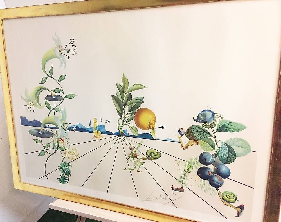 Grafica & Litografie: Lithographie Flordali I, Dali – Usato da Ballwil venduto da ClassicGallery