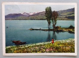 Stilles Gelände am See (Partie vom Zürichsee)