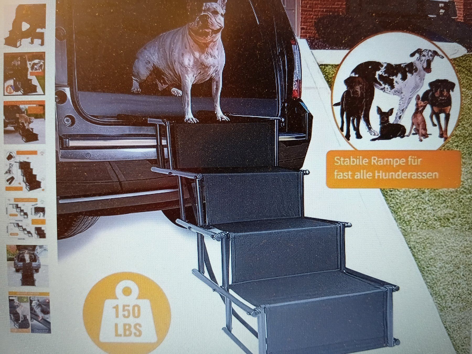 Gabbie, trasporto & Sicurezza: Hunderampe-Treppe, faltbar, neu – Nuovo (secondo la descrizione) da Igis venduto da lebi 3
