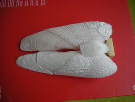 Angel Wings Muschel selten etwa 13 cm