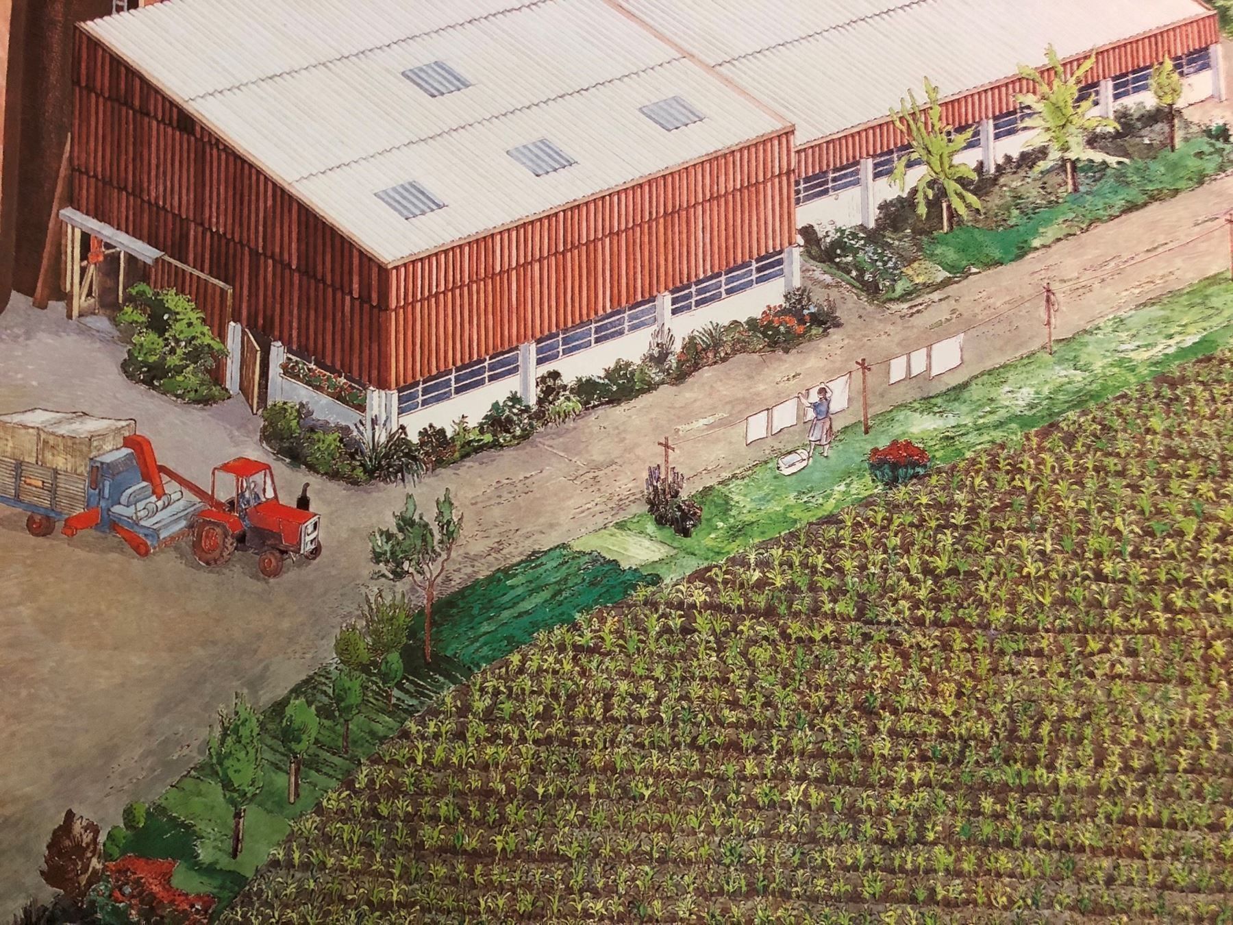 Posters & Illustrations: Schulwandbild: Moderner Bauernhof mit Begleitheft! – D'occasion à Dietikon par Buchantiqdietikon 3
